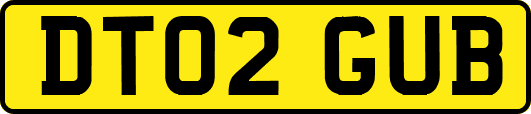 DT02GUB