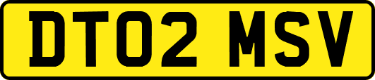 DT02MSV
