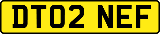 DT02NEF