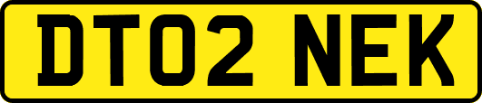 DT02NEK
