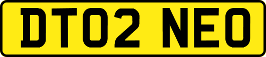 DT02NEO