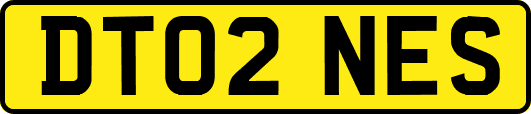 DT02NES