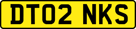 DT02NKS