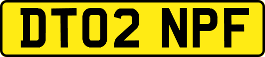DT02NPF