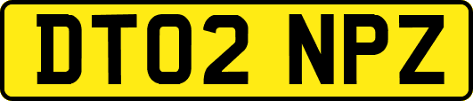 DT02NPZ