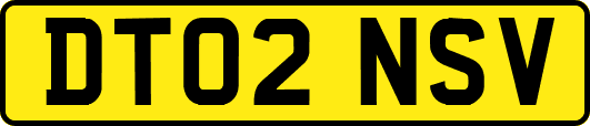 DT02NSV