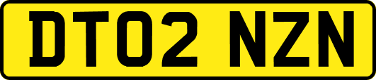 DT02NZN