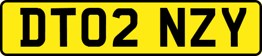 DT02NZY