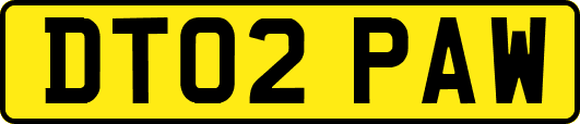 DT02PAW