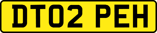 DT02PEH