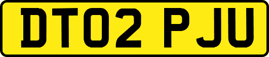 DT02PJU