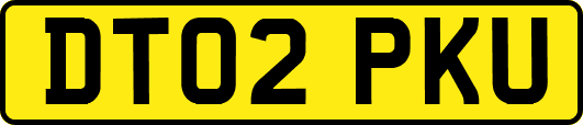 DT02PKU
