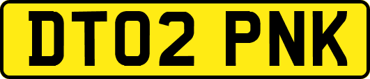 DT02PNK