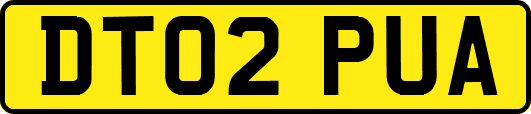 DT02PUA