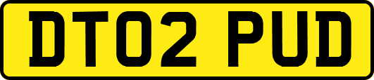 DT02PUD