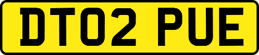 DT02PUE
