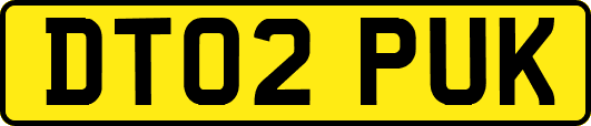 DT02PUK