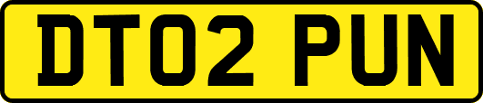 DT02PUN