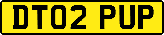 DT02PUP