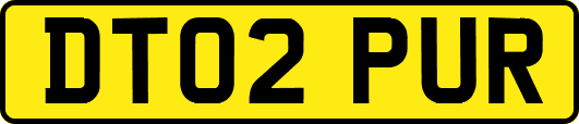 DT02PUR