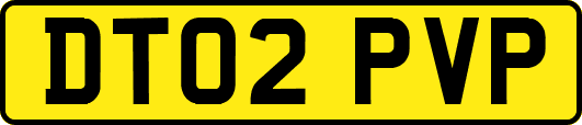 DT02PVP