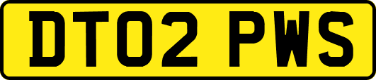 DT02PWS
