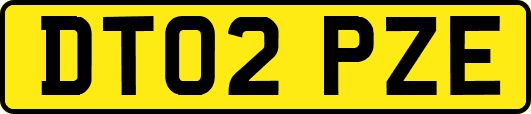DT02PZE