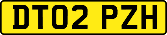 DT02PZH