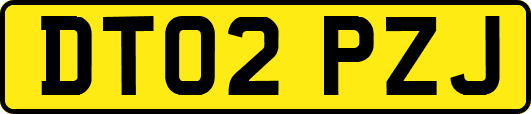 DT02PZJ