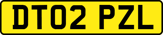 DT02PZL