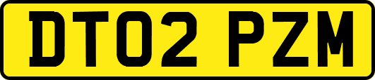 DT02PZM