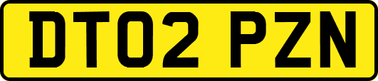 DT02PZN