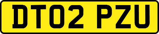 DT02PZU