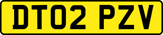 DT02PZV