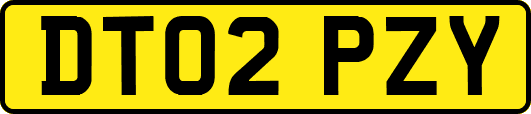 DT02PZY