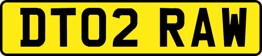 DT02RAW