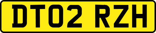 DT02RZH