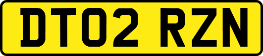 DT02RZN