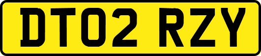 DT02RZY