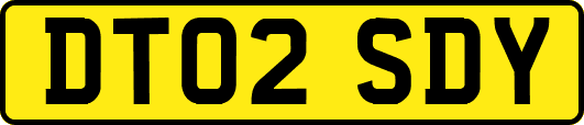 DT02SDY