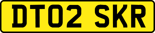 DT02SKR