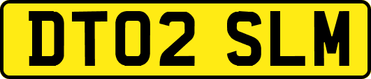 DT02SLM