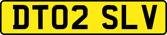 DT02SLV