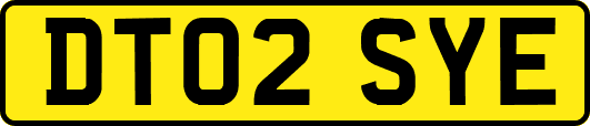 DT02SYE