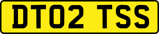 DT02TSS