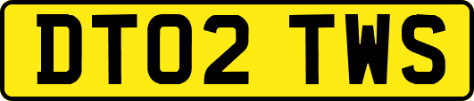 DT02TWS