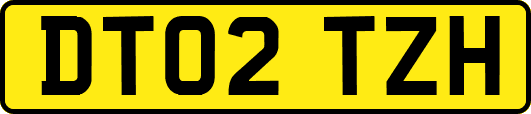 DT02TZH