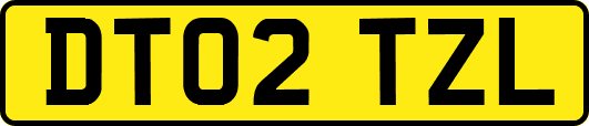 DT02TZL