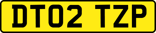 DT02TZP