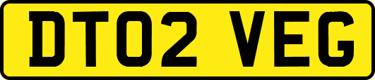 DT02VEG